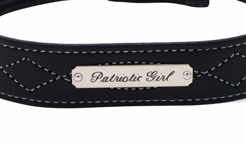 Classic Saddle Plate 3