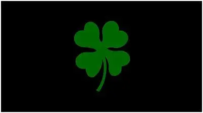 Clover Lazer-Tag Acrylic License Plate (Black) 1