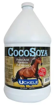 Cocosoya - 1 Gallon 1