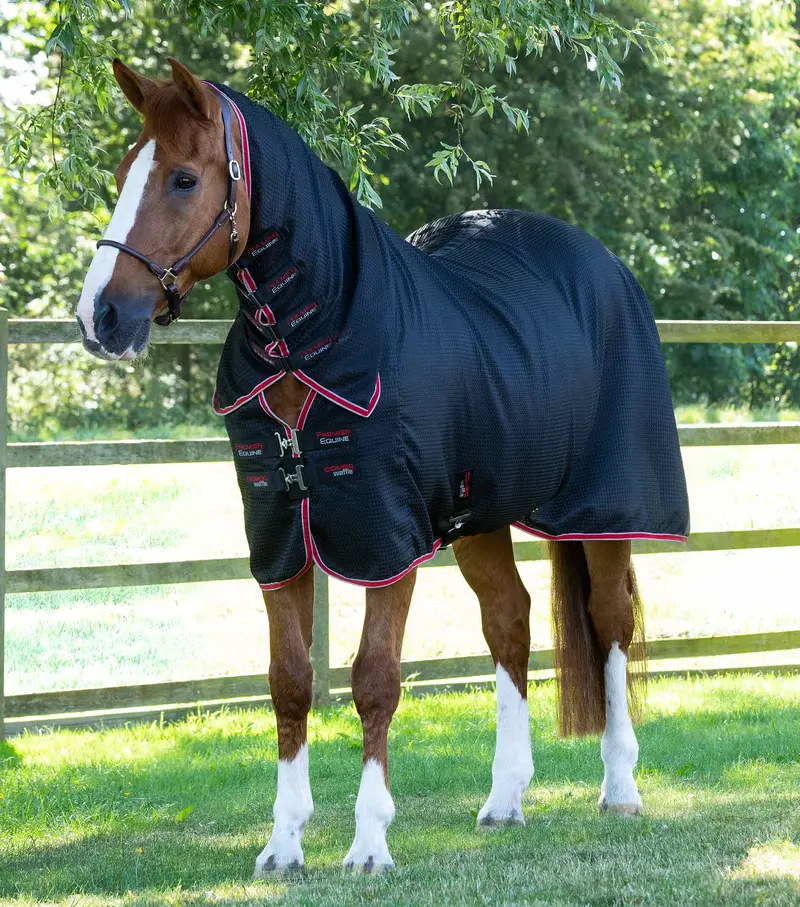 Combo Buster Waffle Horse Cooler Rug Black 1