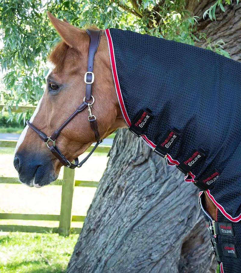 Combo Buster Waffle Horse Cooler Rug Black 2