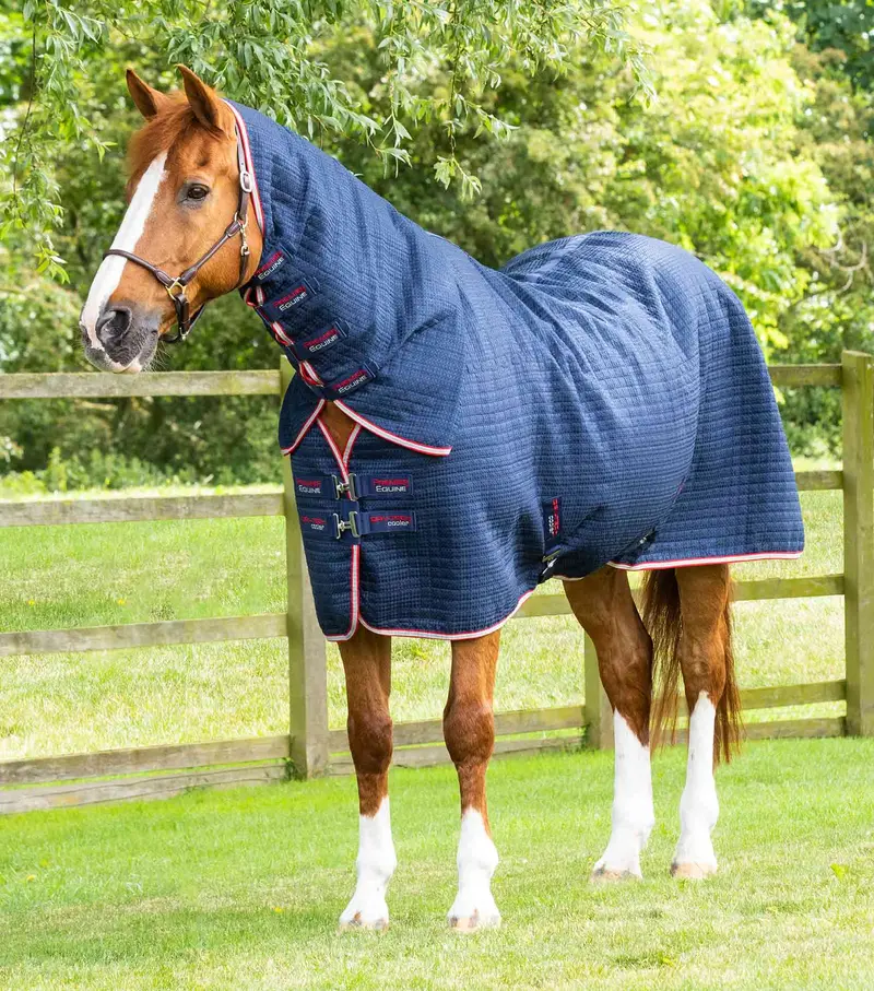 Combo Dry-Tech Horse Cooler Rug Navy 1