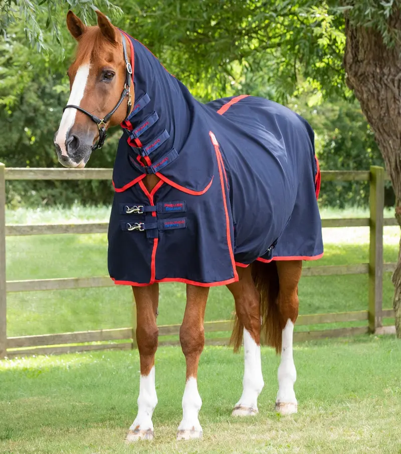 Combo Horse Stable Sheet Navy 1