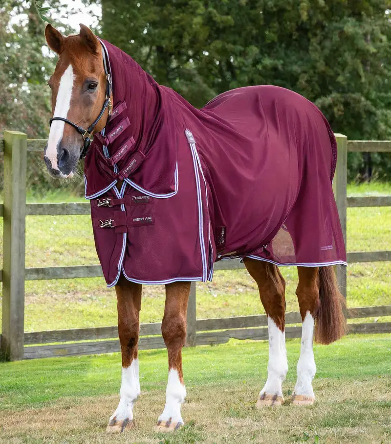Combo Mesh Air Fly Rug With Surcingles Wine 1