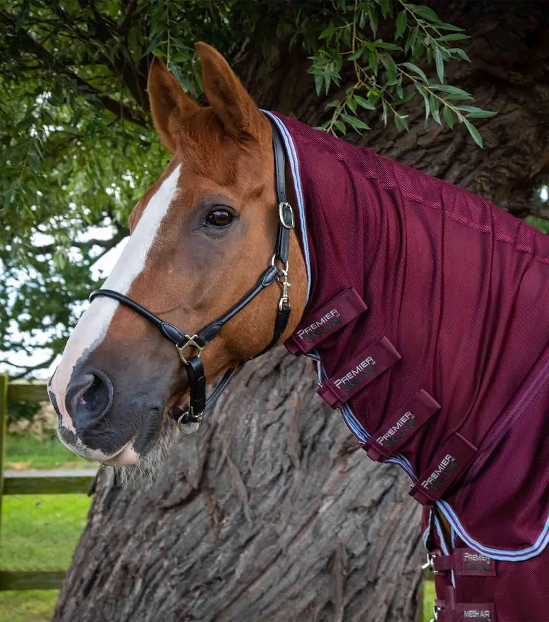 Combo Mesh Air Fly Rug With Surcingles Wine 2