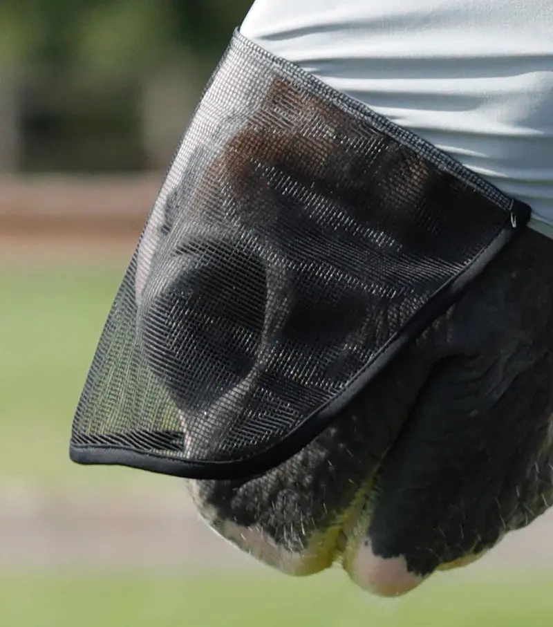 Comfort Tech Lycra Fly Mask Xtra Grey 4