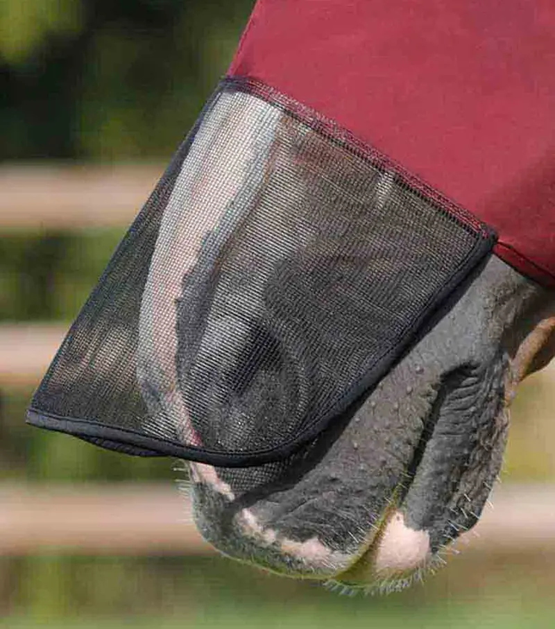 Comfort Tech Lycra Fly Mask Xtra Wine 4