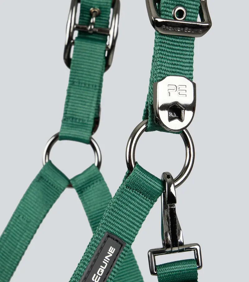 Corda Padded Head Collar With Lead Rope Green 3