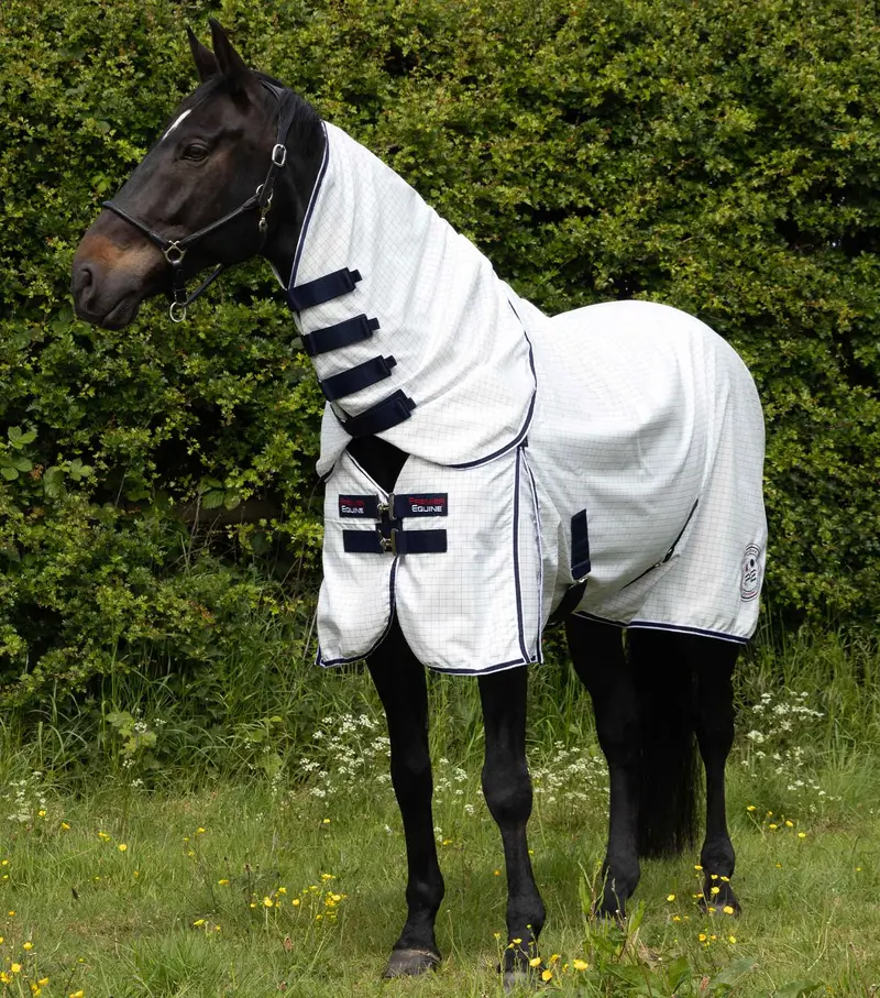 Cotone Combo Stable Sheet 1