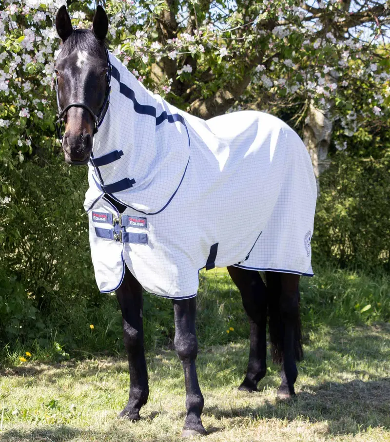 Cotone Stable Sheet With Neck Cover 1