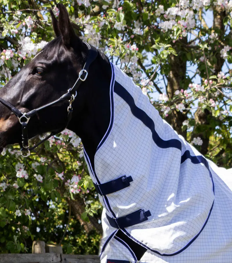 Cotone Stable Sheet With Neck Cover 3