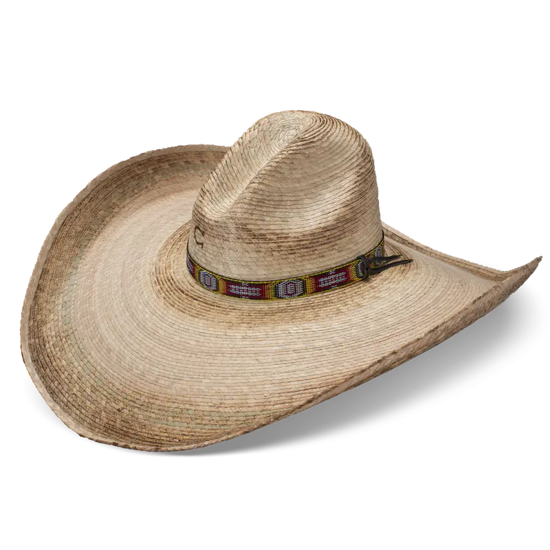 Coyote Fashion Hat 1