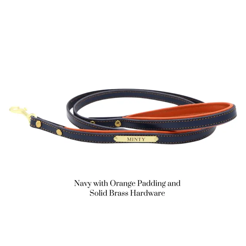 Custom Padded Dog Leash 1