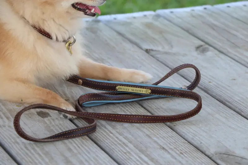Custom Padded Dog Leash 3