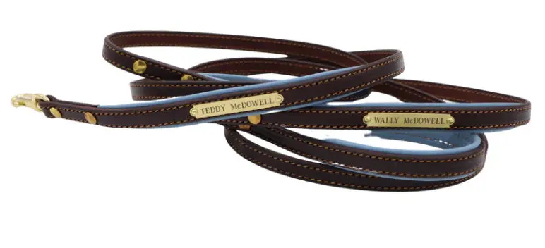 Custom Padded Dog Leash 4