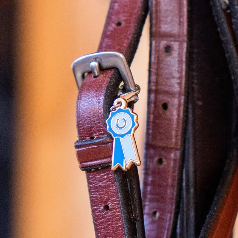 Dapplebay - Blue Ribbon Bridle Charm 1