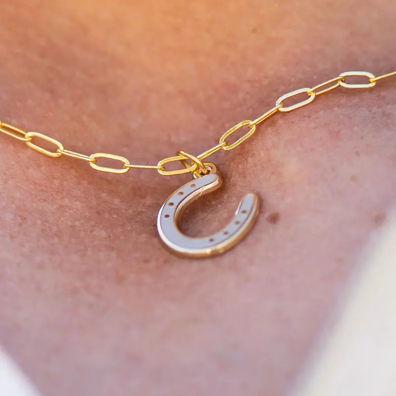 Dapplebay Lucky Horseshoe Necklace 1