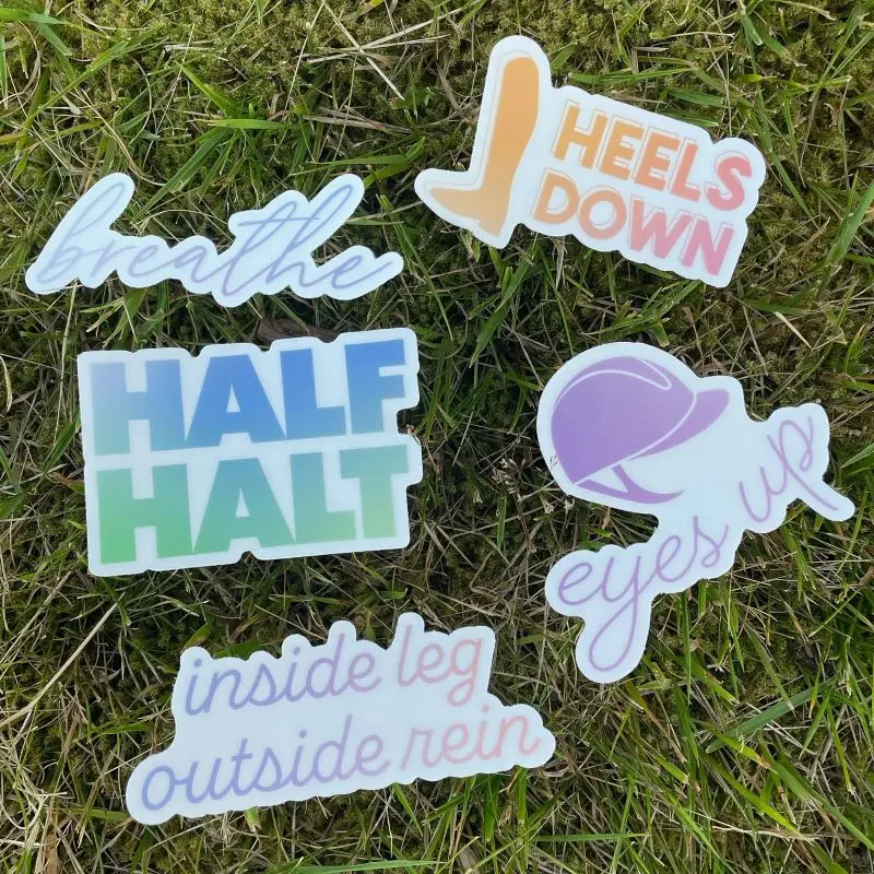 Dapplebay Trainer Saying Sticker Pack 1