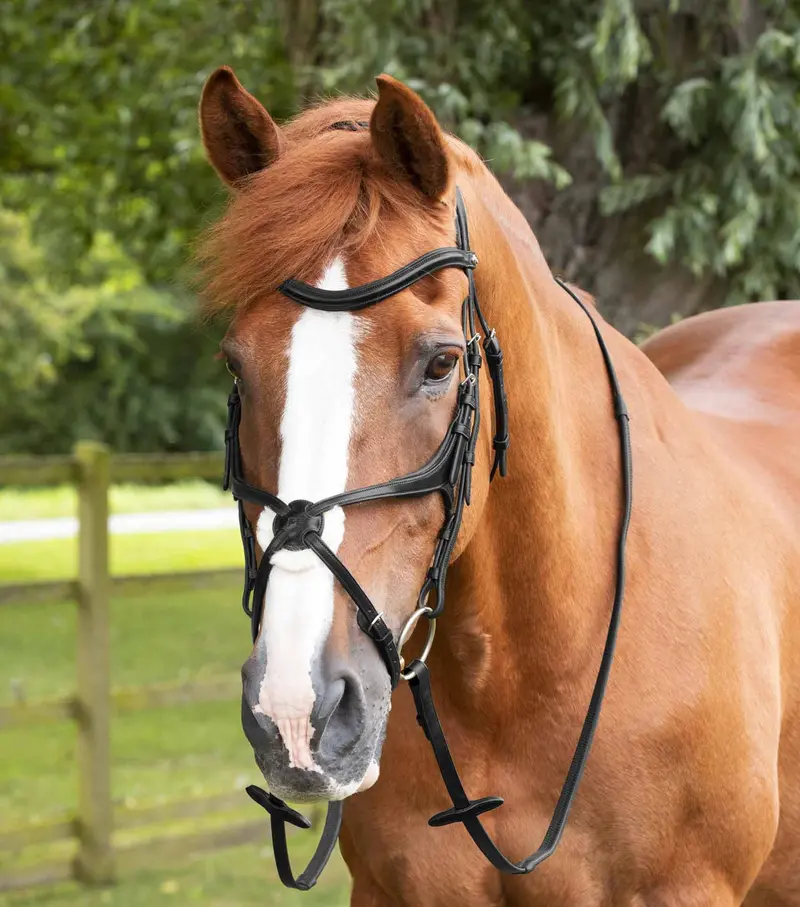 Diego Rubber Reins Black 2
