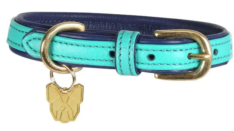 Digby & Fox Padded Leather Dog Collar** 5