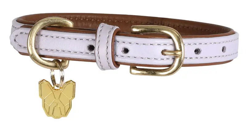 Digby & Fox Padded Leather Dog Collar – Soft-Cushioned Pet Collar