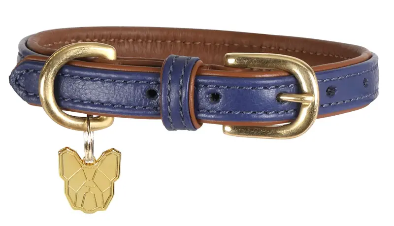 Digby & Fox Padded Leather Dog Collar – Soft-Cushioned Pet Collar