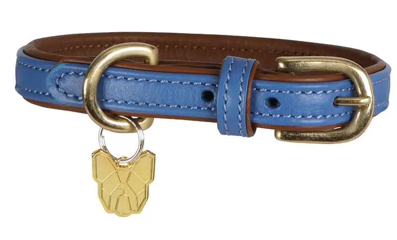 Digby & Fox Padded Leather Dog Collar – Soft-Cushioned Pet Collar
