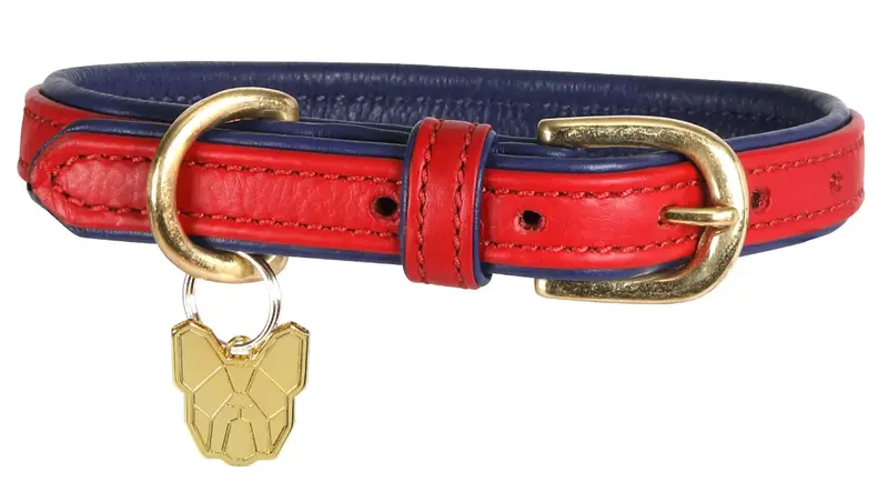 Digby & Fox Padded Leather Dog Collar – Soft-Cushioned Pet Collar