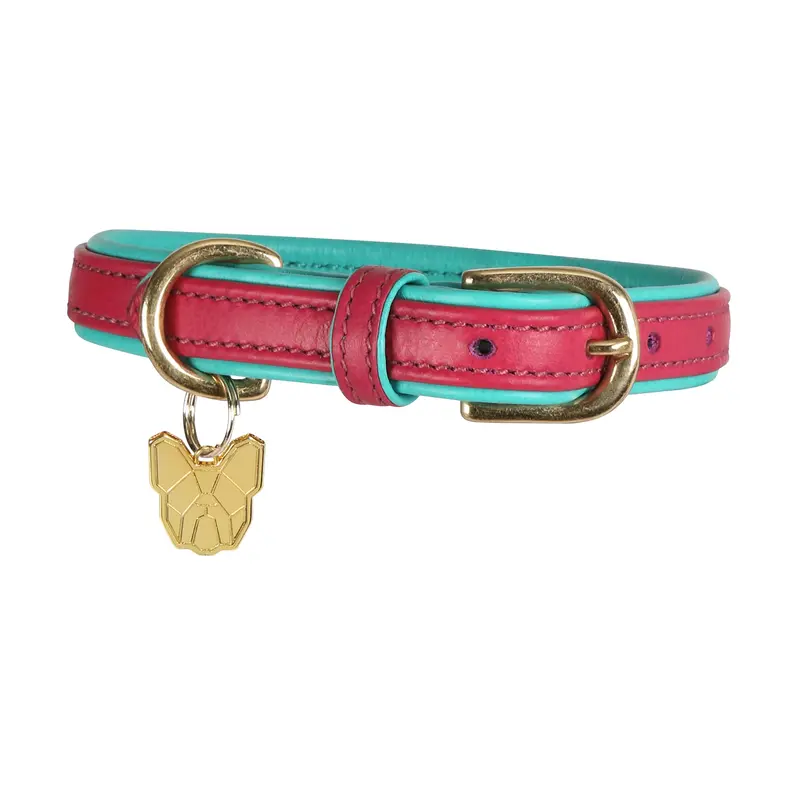 Digby & Fox Padded Leather Dog Collar – Soft-Cushioned Pet Collar