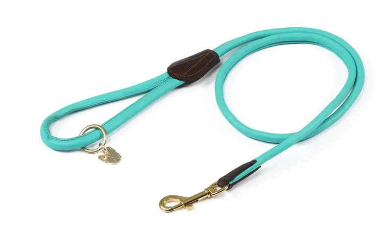 Digby & Fox Rolled Leather Dog Lead** 1