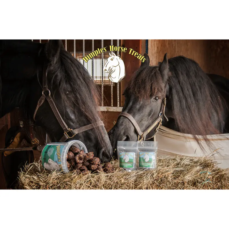 Dimples Horse Treats 2