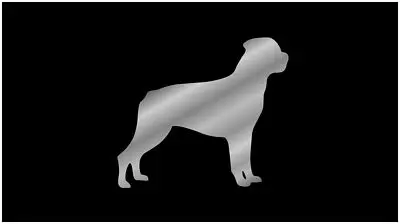 Dog Lazer-Tag Acrylic License Plate (Black) 1