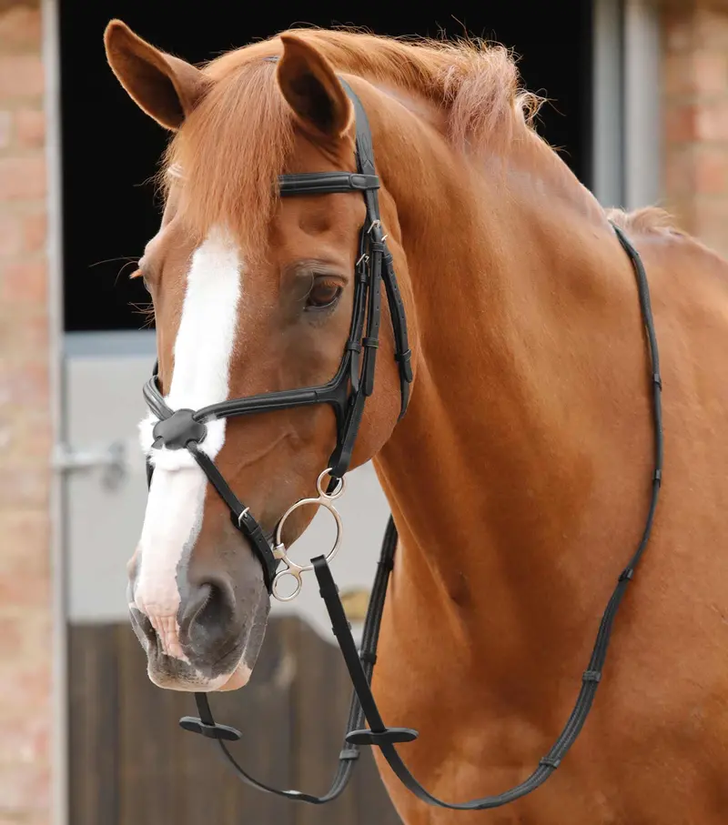 Domenico Web & Rubber Grip Reins Black 2