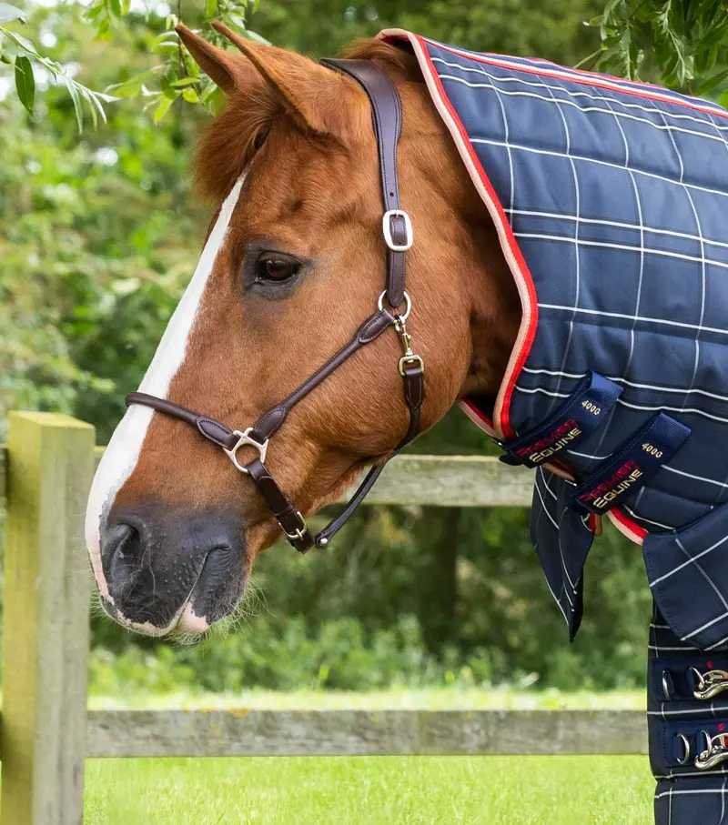 Domus 200G Combo Stable Rug Navy Check 2
