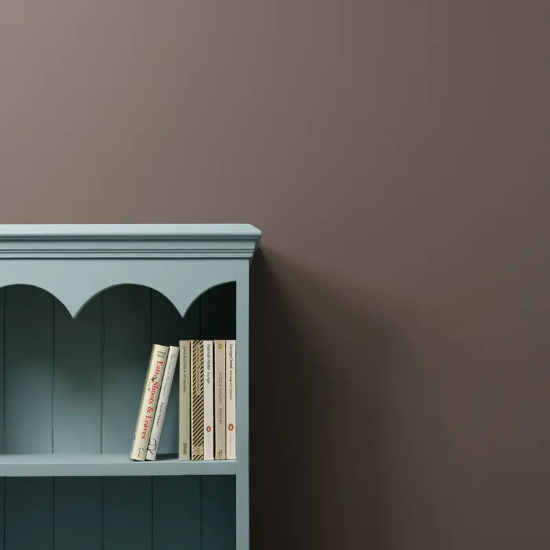 Donkey Derby Trim Paint 2