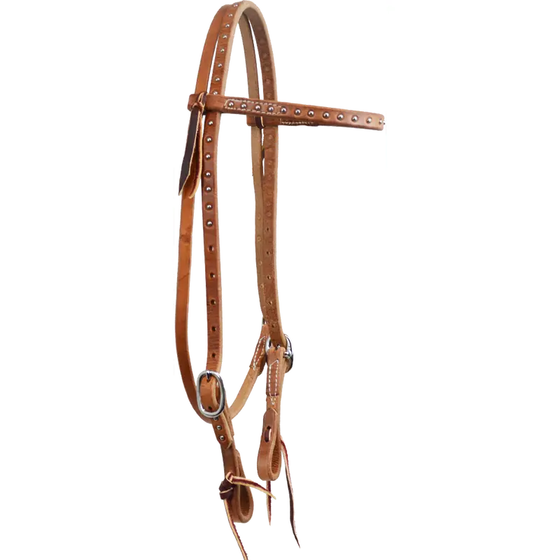 Dotted Double Buckle Browband Headstall 1