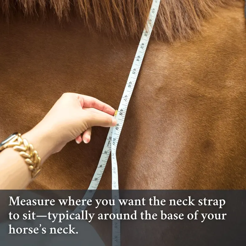 Double Neck Strap 3