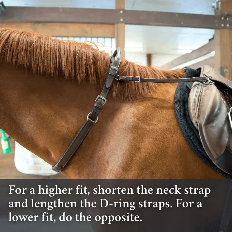 Double Neck Strap 5