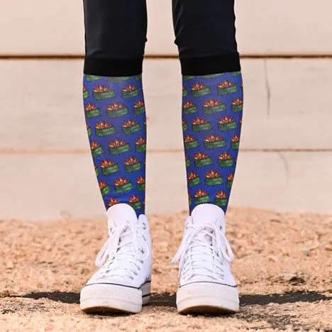 Dreamers & Schemers Dumpster Fire 2.0 Pair And A Spare Socks 1