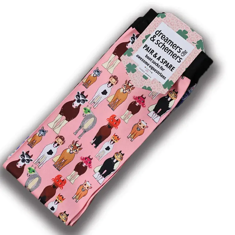 Dreamers & Schemers Pair And A Spare Boot Socks 16