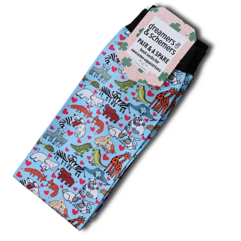 Dreamers & Schemers Pair And A Spare Boot Socks 20