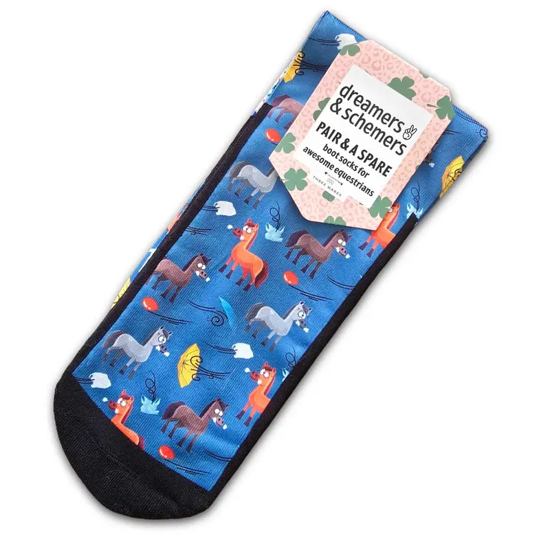 Dreamers & Schemers Pair And A Spare Boot Socks 24
