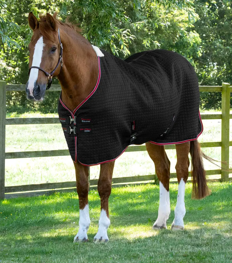 Dry-Tech Horse Cooler Rug Black 1