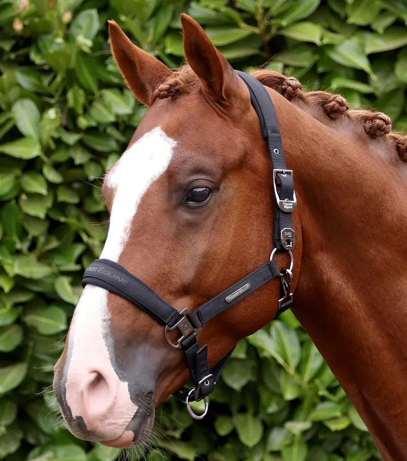 Duco Padded Head Collar With Lead Rope Black 1