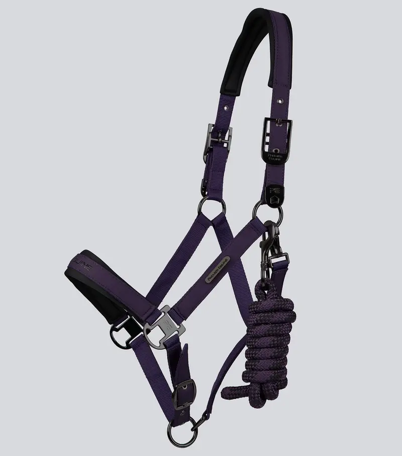 Duco Padded Head Collar With Lead Rope Grape 2