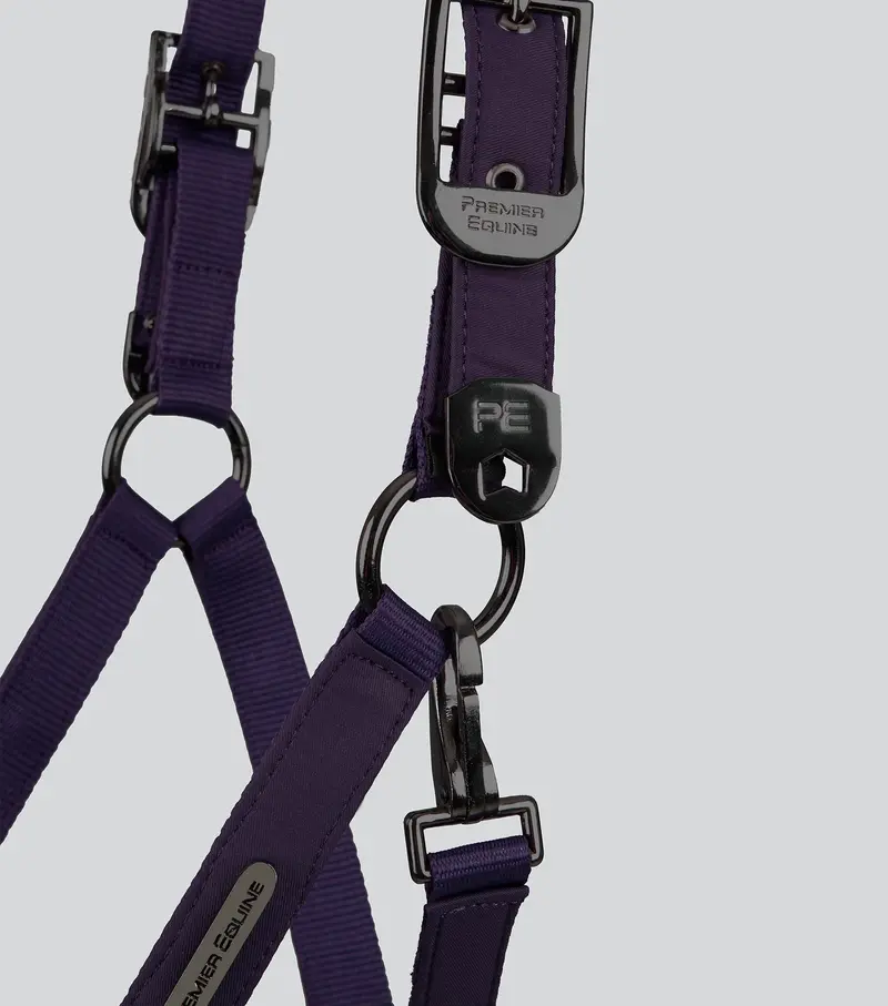 Duco Padded Head Collar With Lead Rope Grape 3