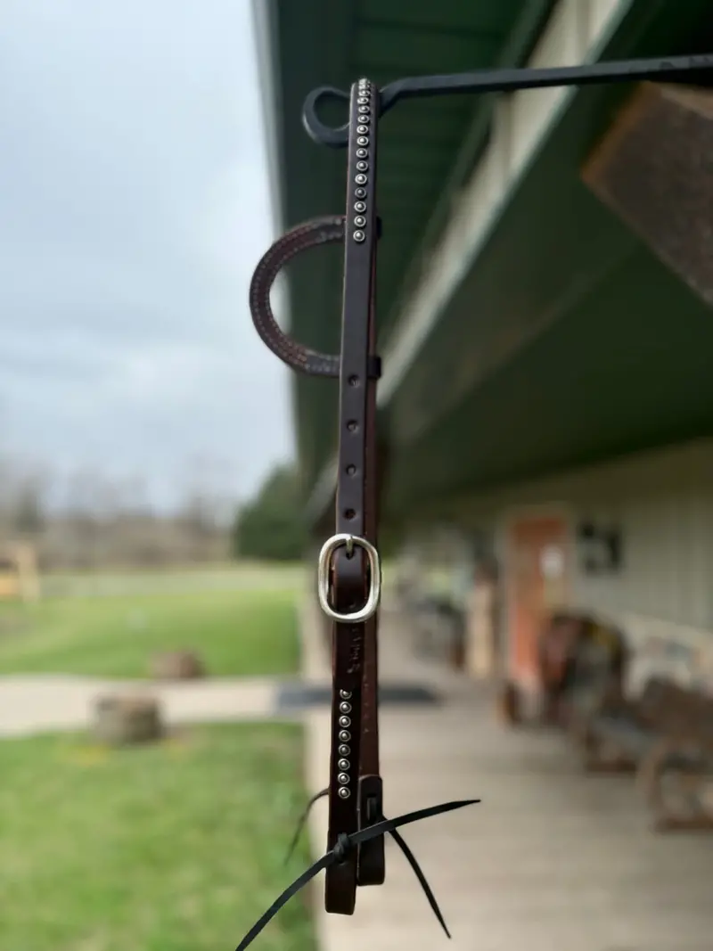 Dutton Bits Silver Rope Edge Dotted One Ear Headstall 1