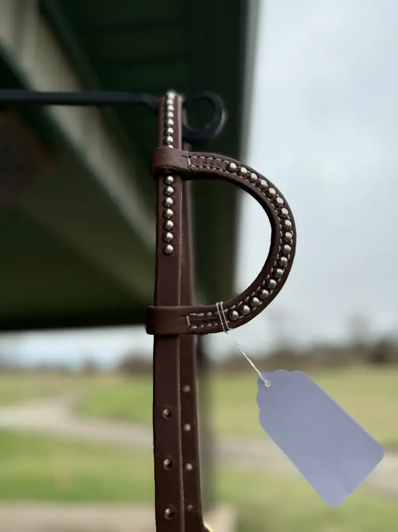Dutton Bits Silver Stud And Double Stitched One Ear Headstall With Buckles 2