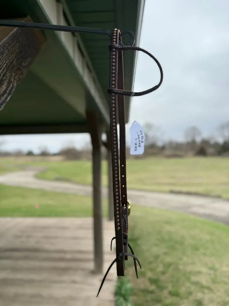 Dutton Bits Single Rolled Ear Headstall With Copper Rope Edge Dots 1