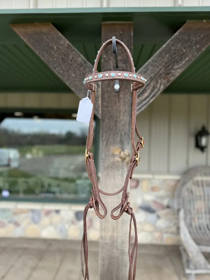 Dutton Bits Turquoise Dotted And Double Stitched Browband Headstall With Rattlesnake Knots 1